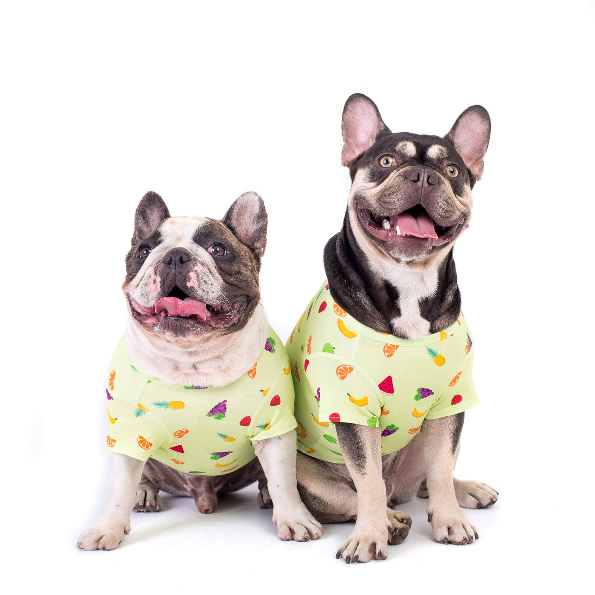 Feelin' fruity dog t-shirt