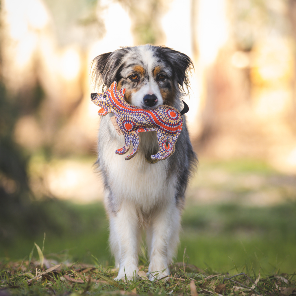Desert Dog Toy
