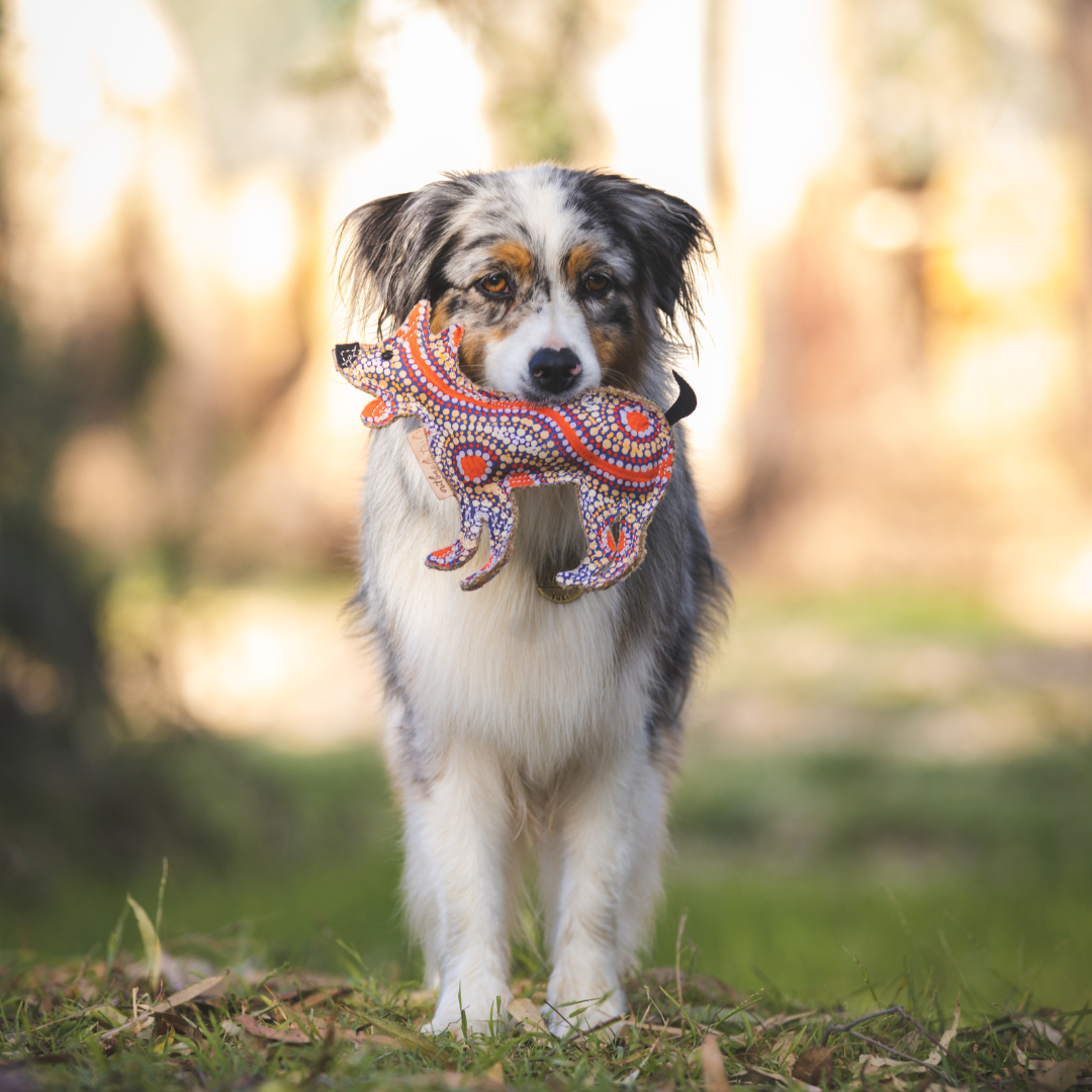 Desert Dog Toy