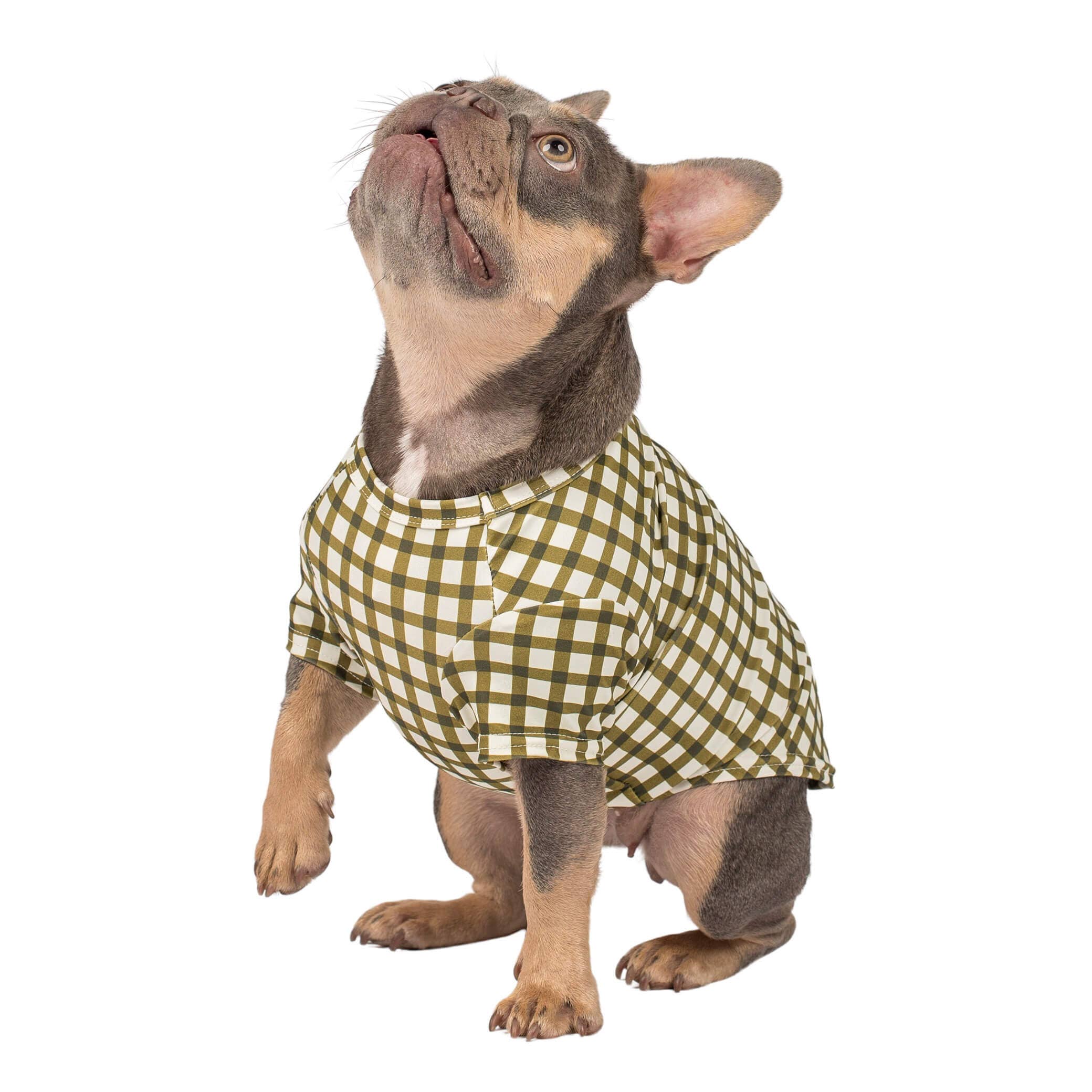 Green Gingham Rash Shirt UPF50