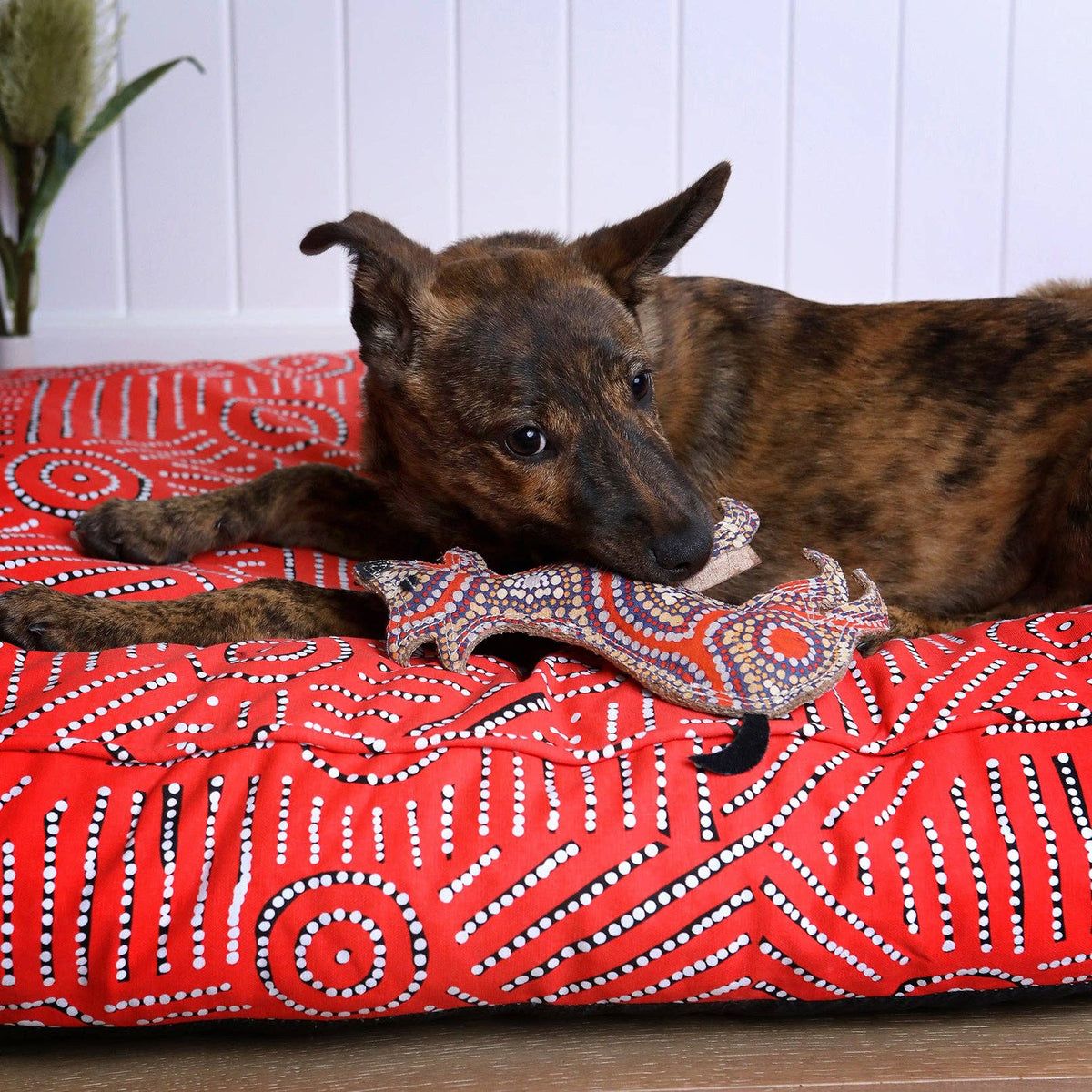 Desert Dog Toy
