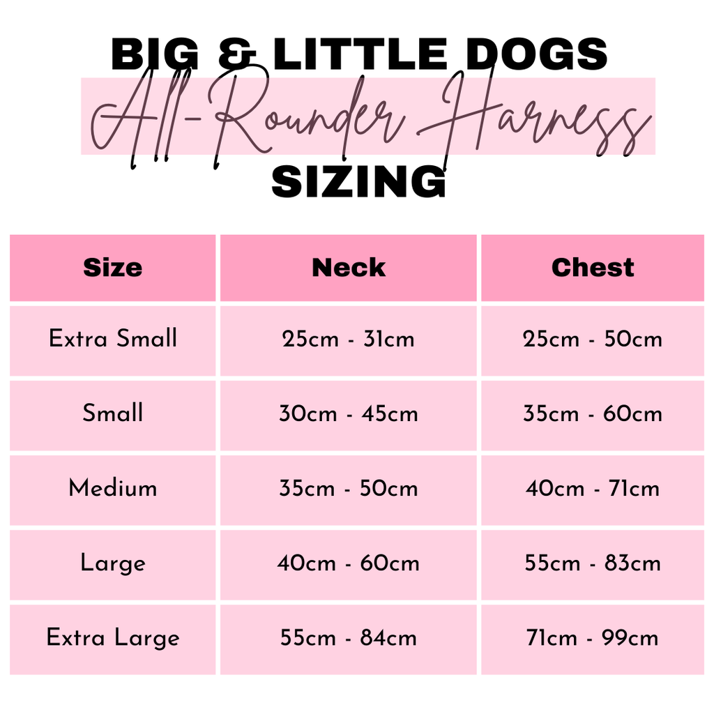 THE ALL-ROUNDER DOG HARNESS: Cuddle Club
