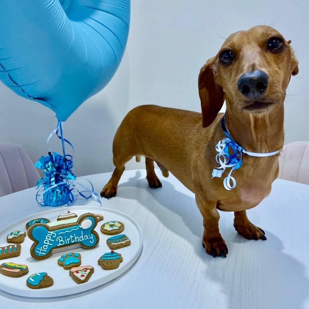 Dog Biscuits - Celebration Box