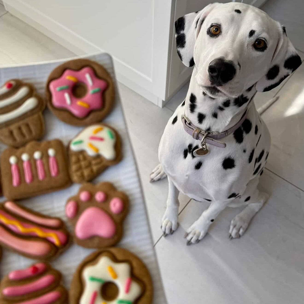 Dog Biscuits - Celebration Box