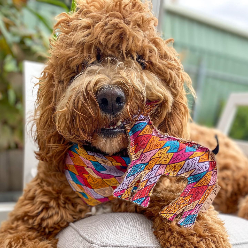 Desert Dog Toy