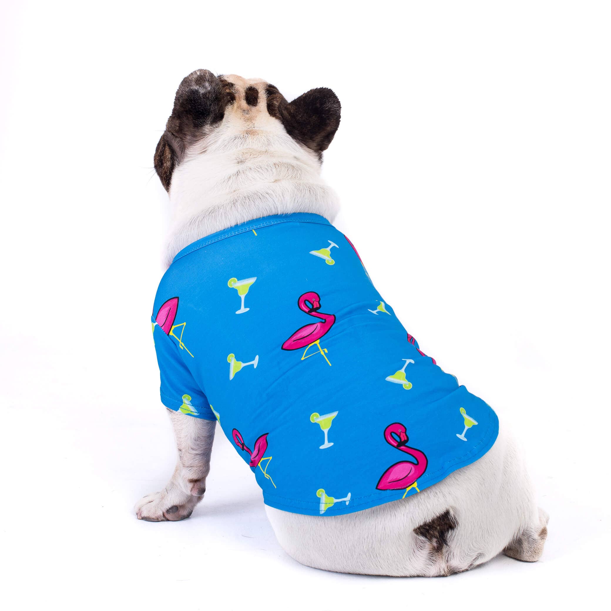 Flamingo splash dog shirt