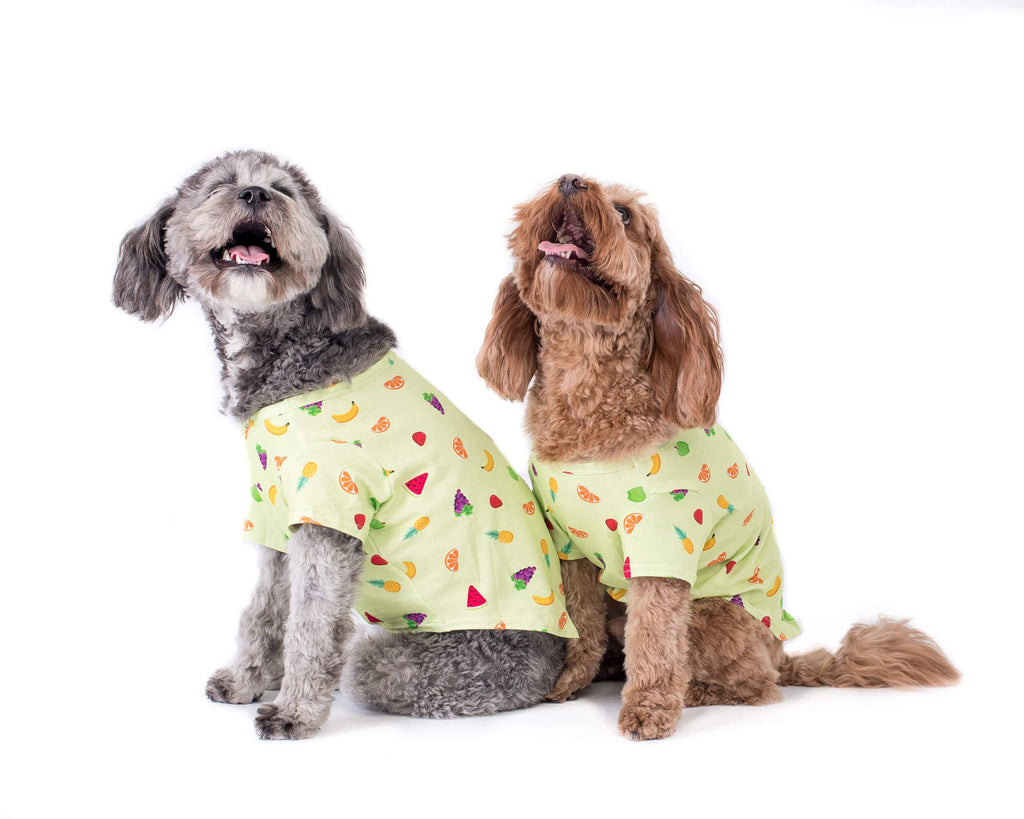 Feelin' fruity dog t-shirt