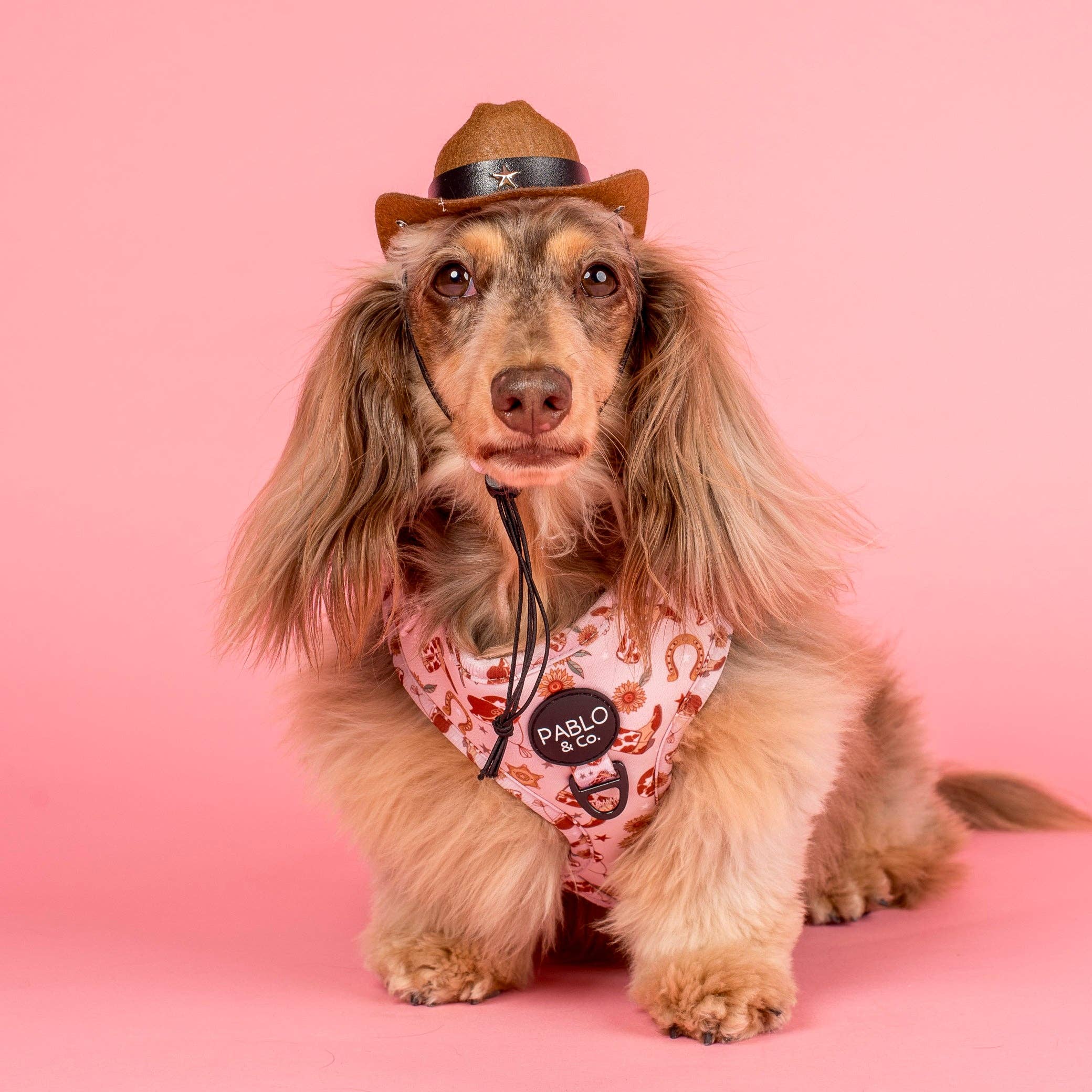 Pet Cowboy Hat