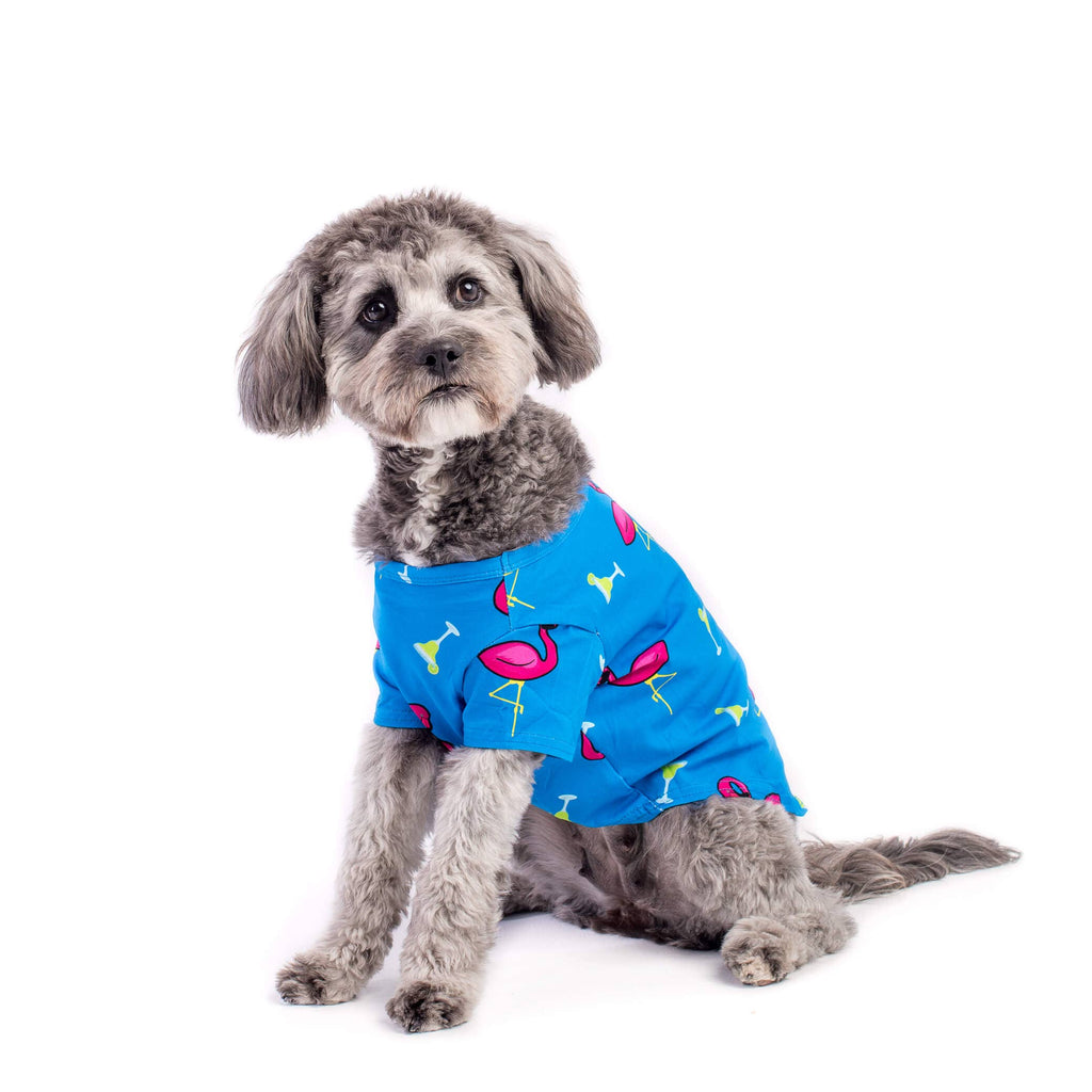 Flamingo splash dog shirt