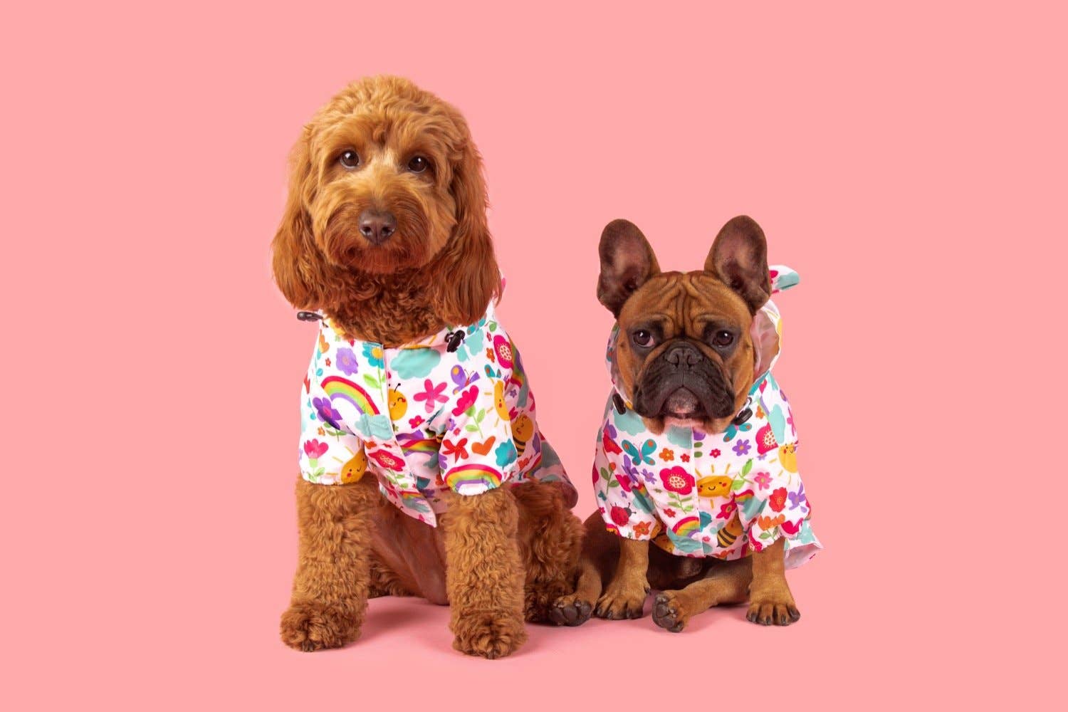 DOG RAINCOAT: Follow the Rainbow