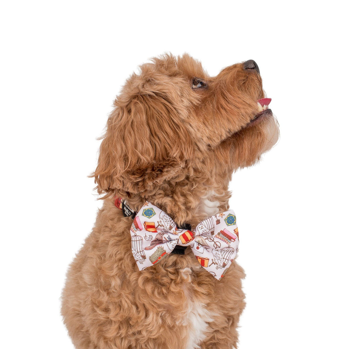Harry Potter: Dog Bow Tie
