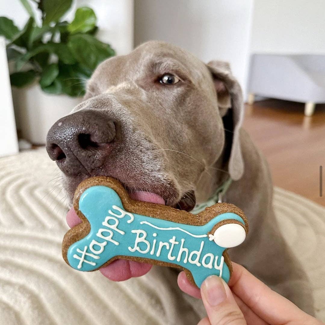 Dog Biscuits - Happy Birthday Dog Bone