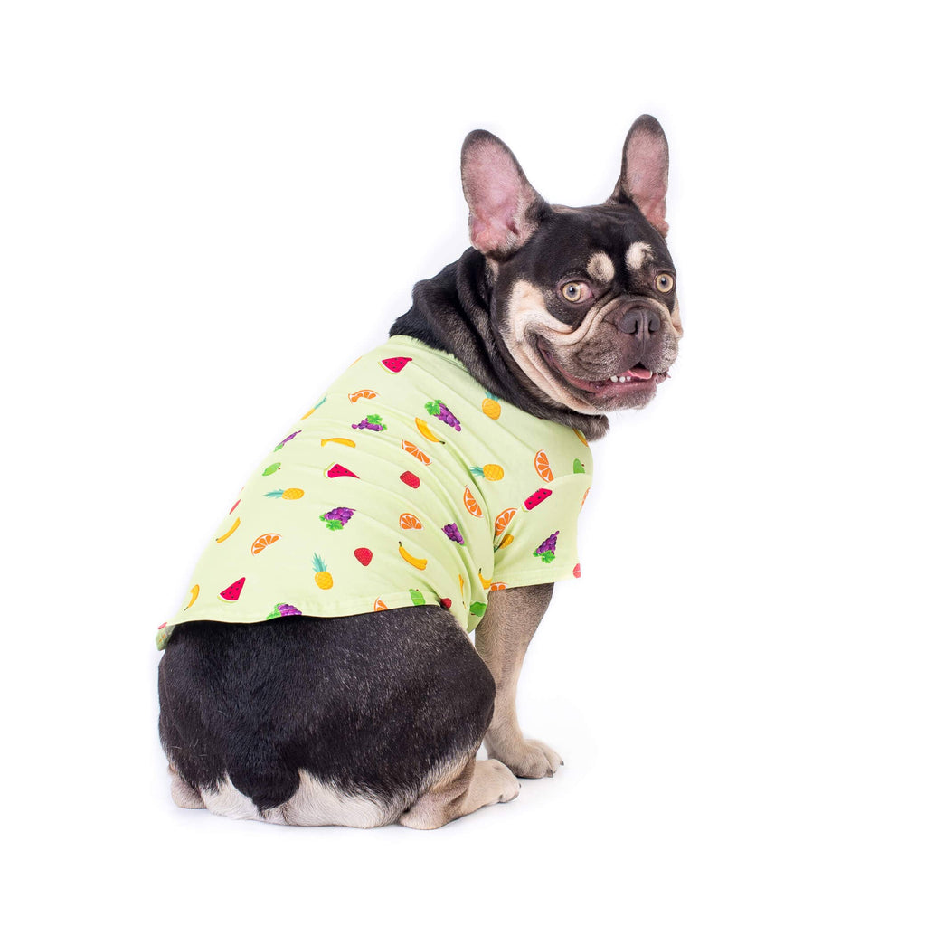 Feelin' fruity dog t-shirt