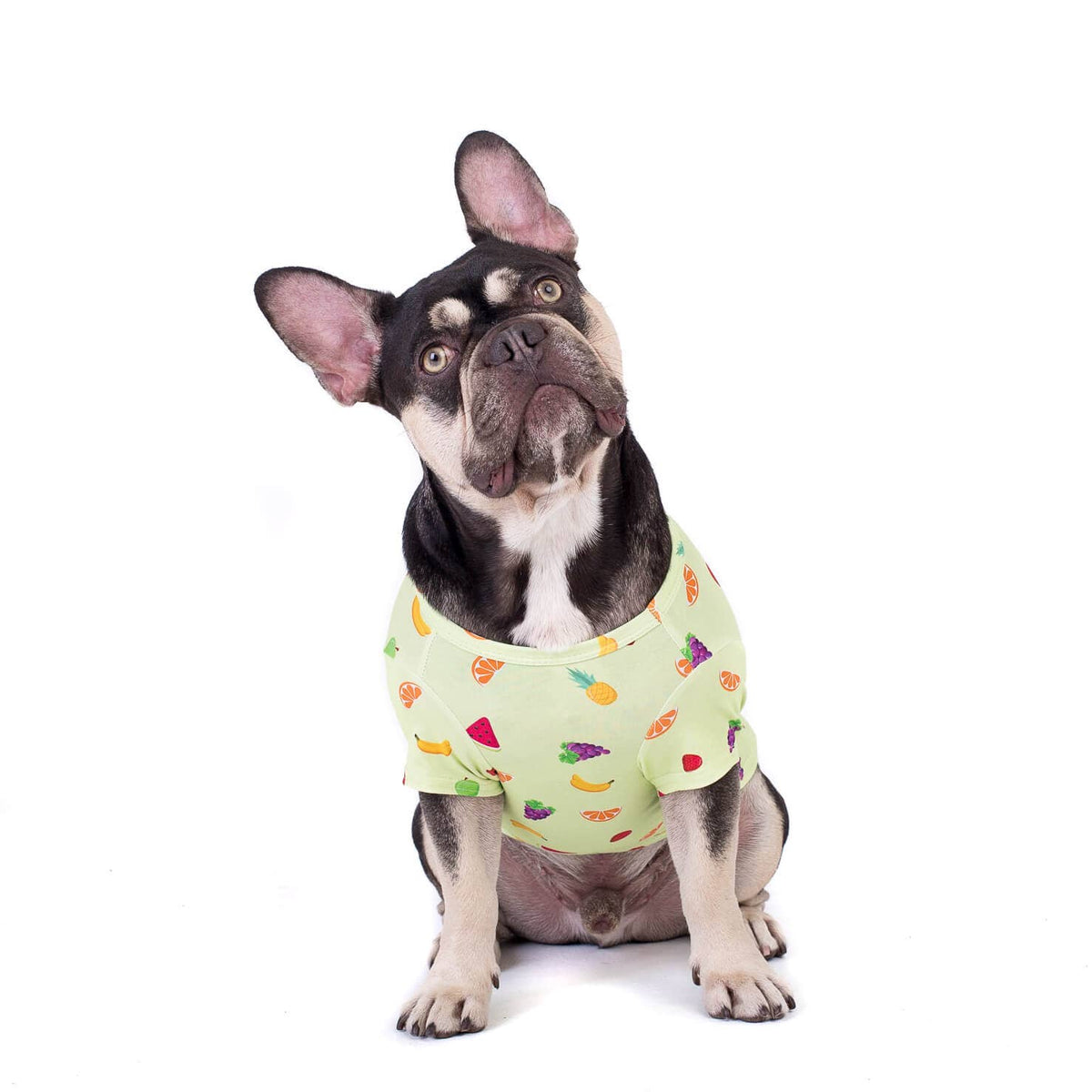 Feelin' fruity dog t-shirt