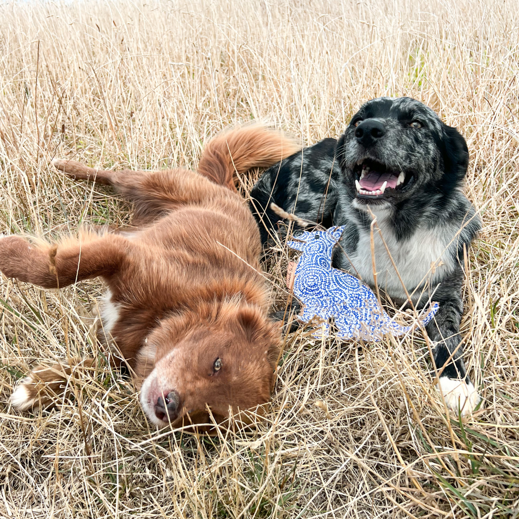 Desert Dog Toy