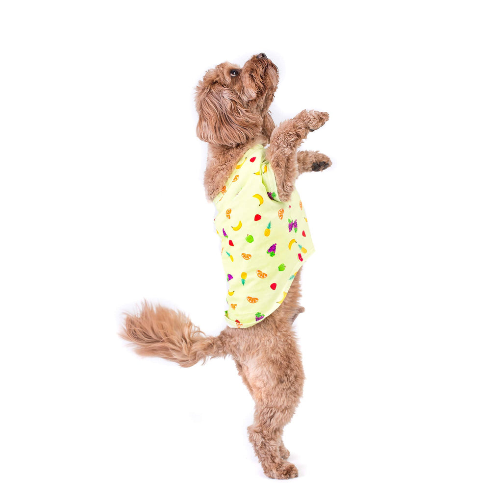 Feelin' fruity dog t-shirt