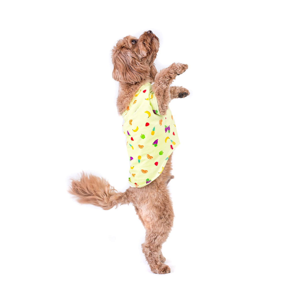 Feelin' fruity dog t-shirt