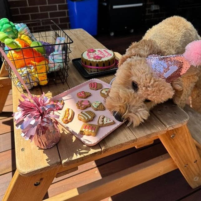 Dog Biscuits - Celebration Box