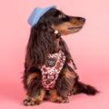 Pet Cowboy Hat