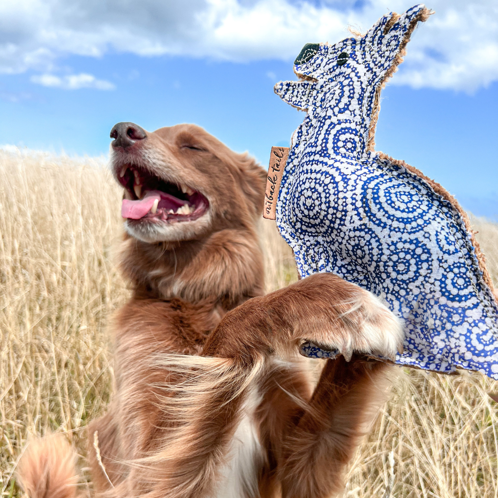 Desert Dog Toy