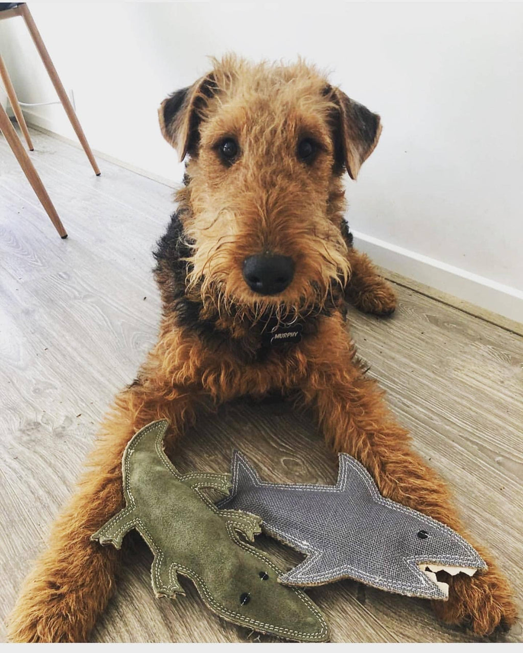 Jute Animal Dog Toy