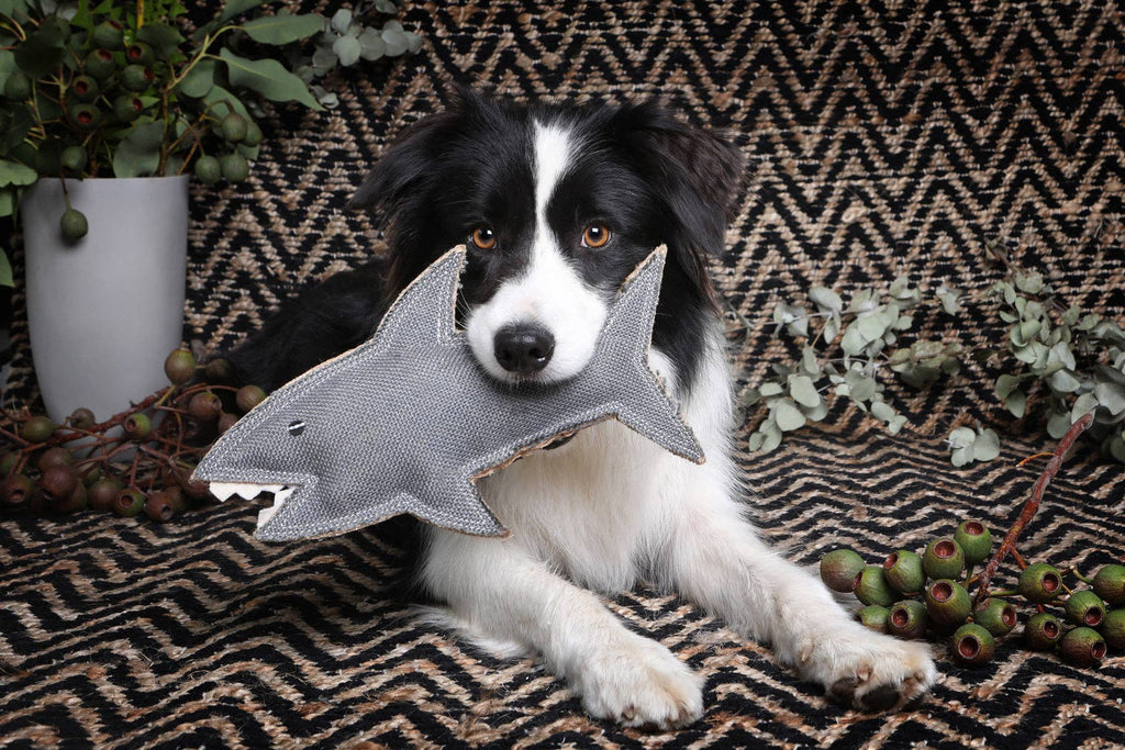 Jute Animal Dog Toy