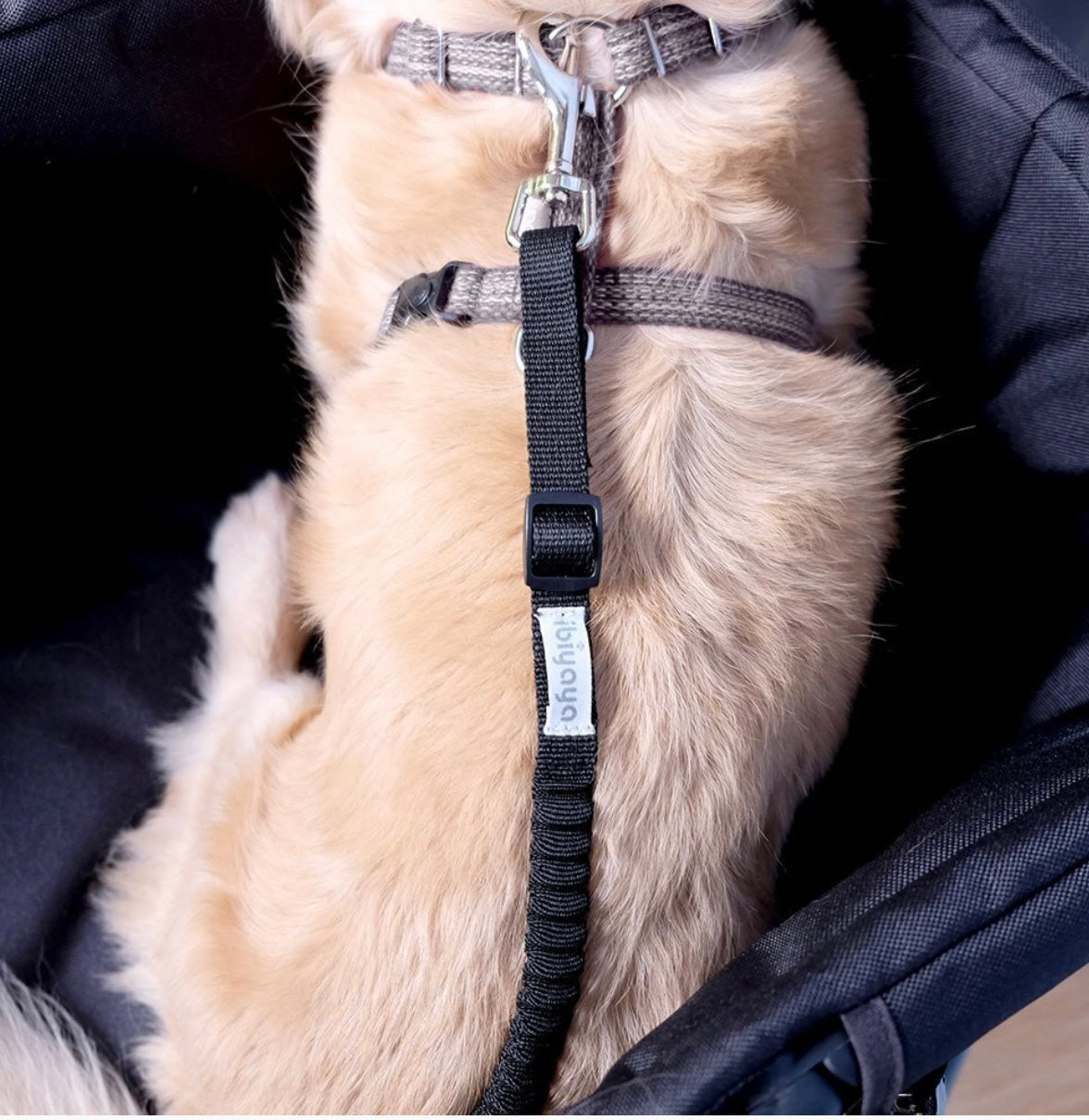 Ibiyaya No Shock Bungee Leash Extension/ Stroller Tether