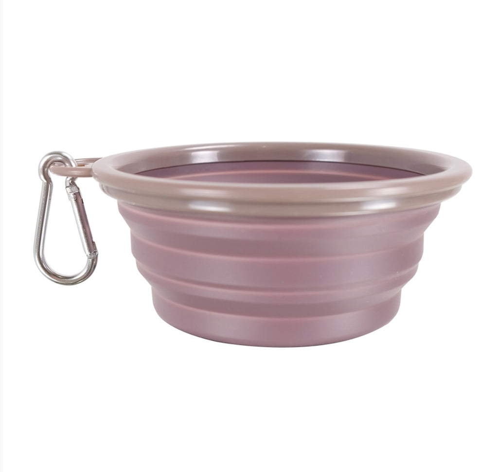 Quick Bite Collapsible Travel Pet Bowl