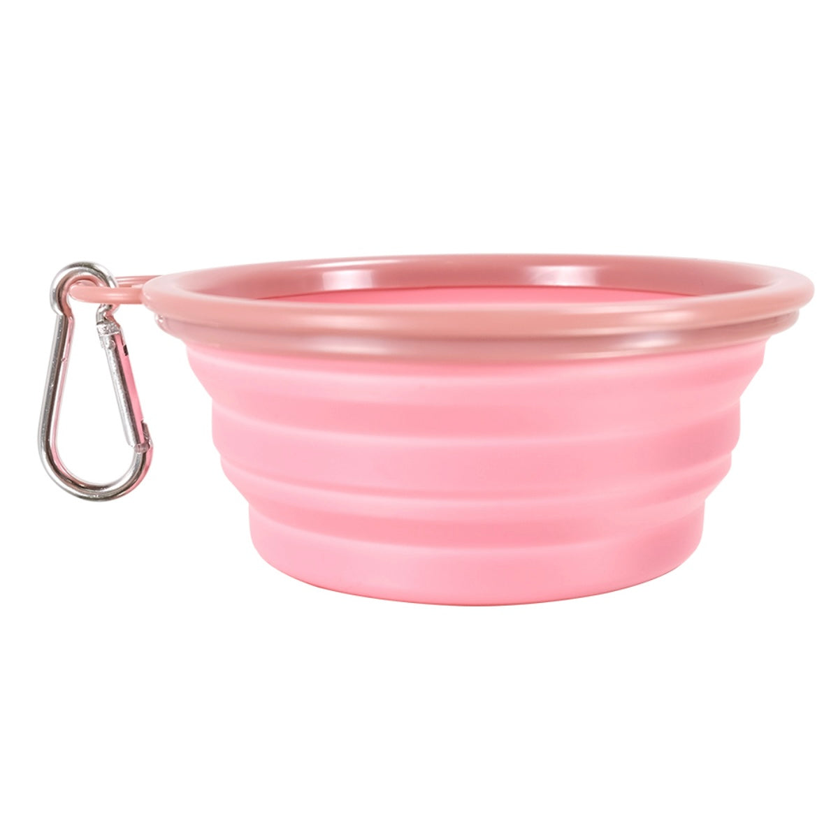 Quick Bite Collapsible Travel Pet Bowl