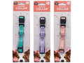 Dog Collar Baxter SML