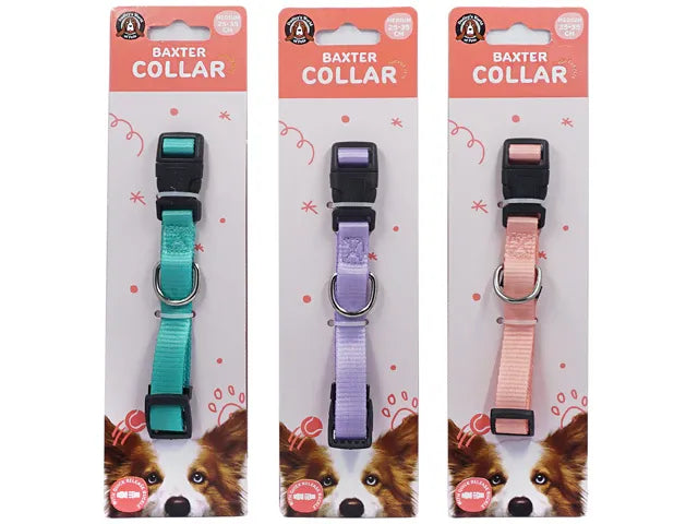 Dog Collar Baxter SML