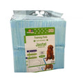 DOG TRAINING PAD 100PCS