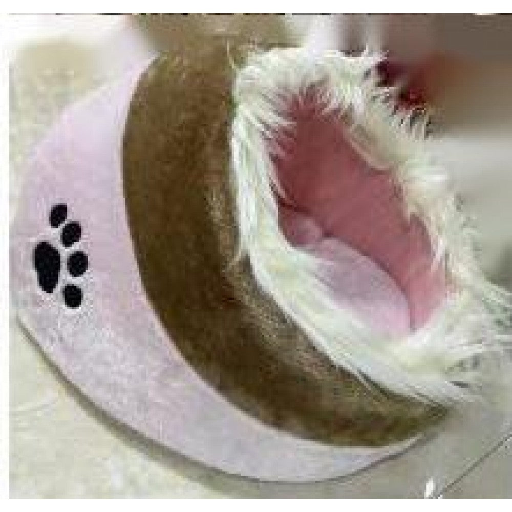 Cat House
