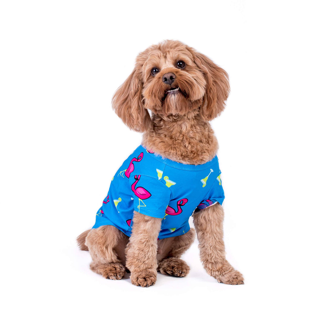 Flamingo splash dog shirt