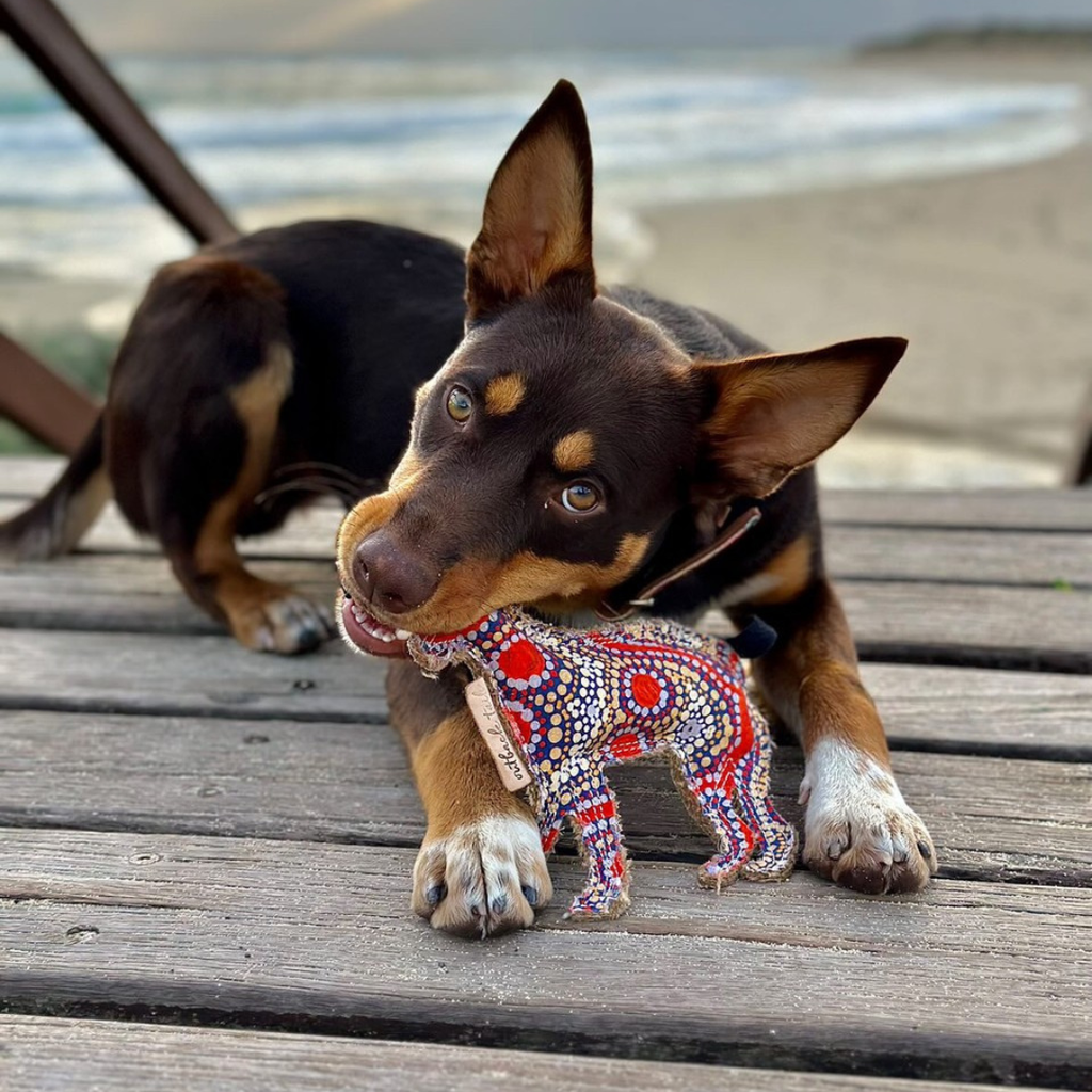 Desert Dog Toy