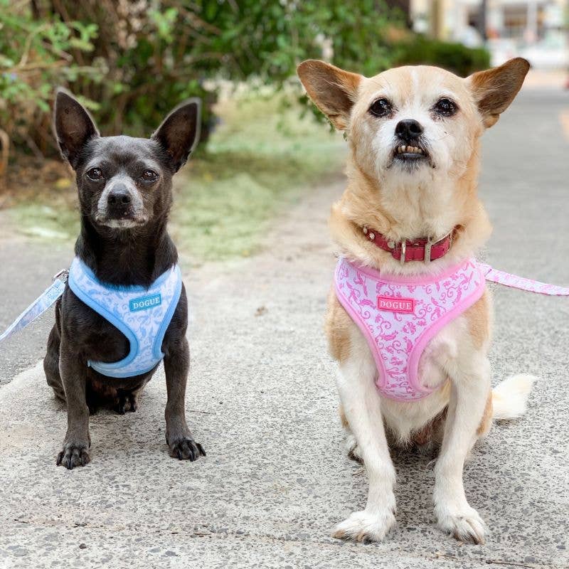 DOGUE Damask Dog Harness