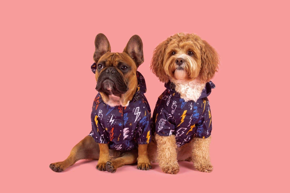 DOG RAINCOAT: Lightning Storm