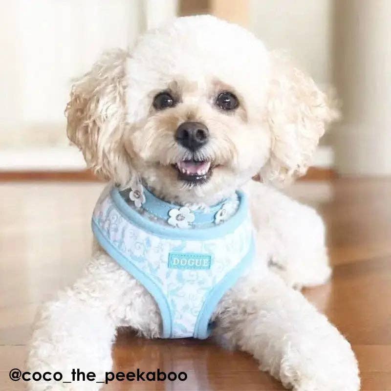 DOGUE Damask Dog Harness