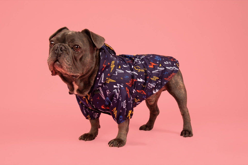 DOG RAINCOAT: Lightning Storm