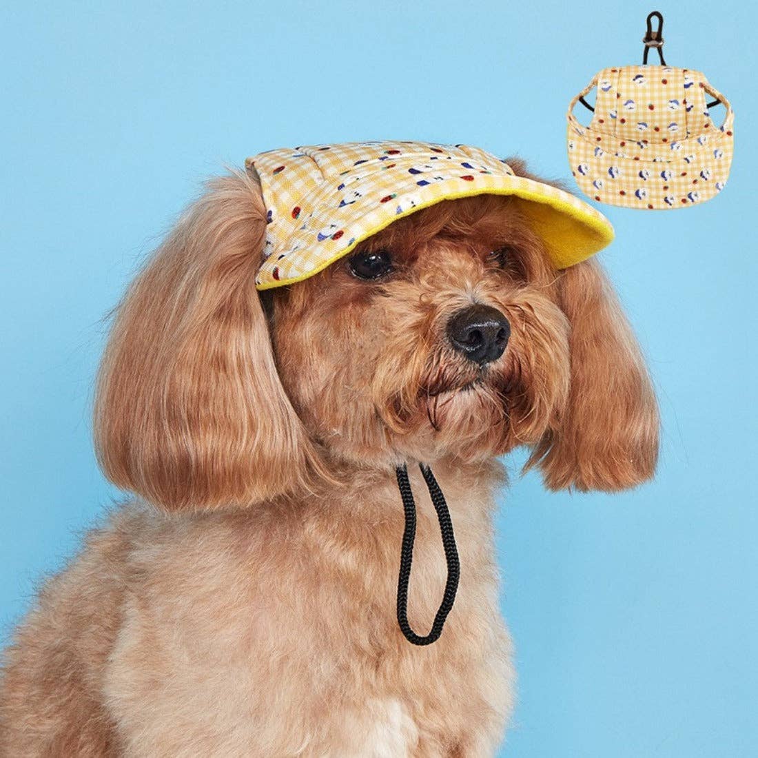 Ozzie - Colorful Stylish Dog Caps