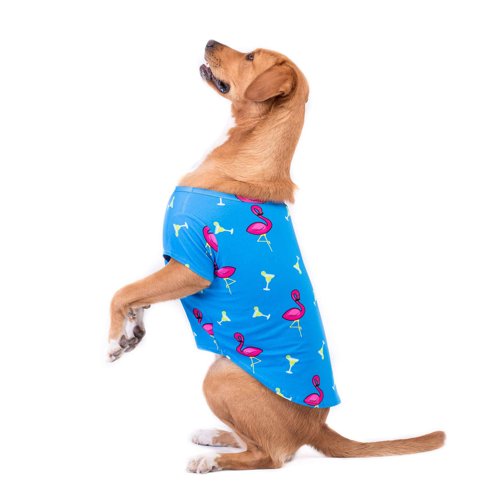 Flamingo splash dog shirt