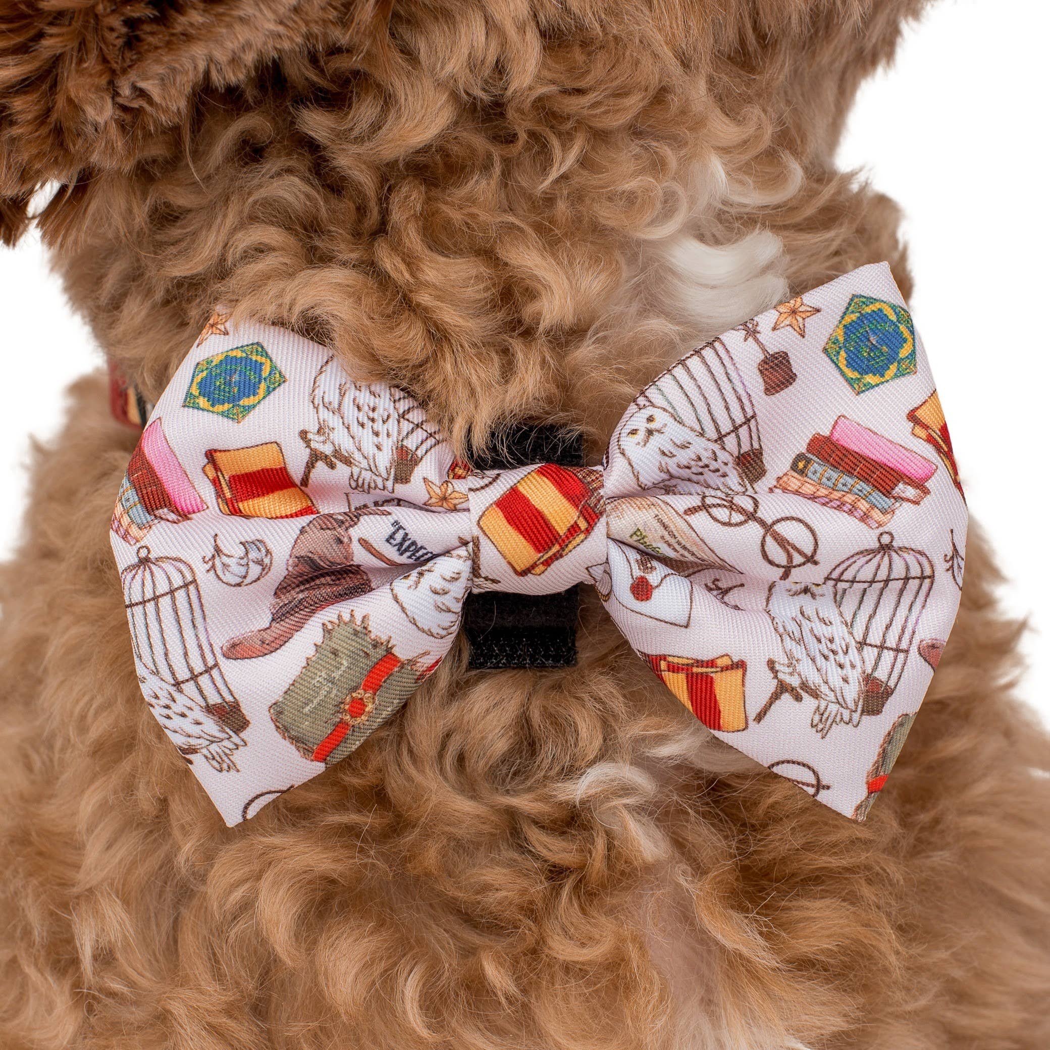 Harry Potter: Dog Bow Tie