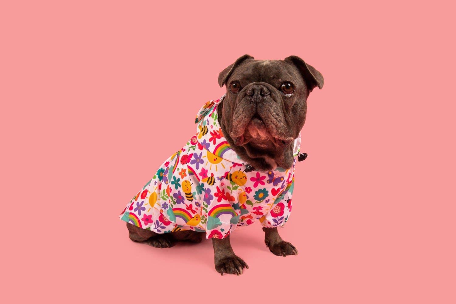 DOG RAINCOAT: Follow the Rainbow
