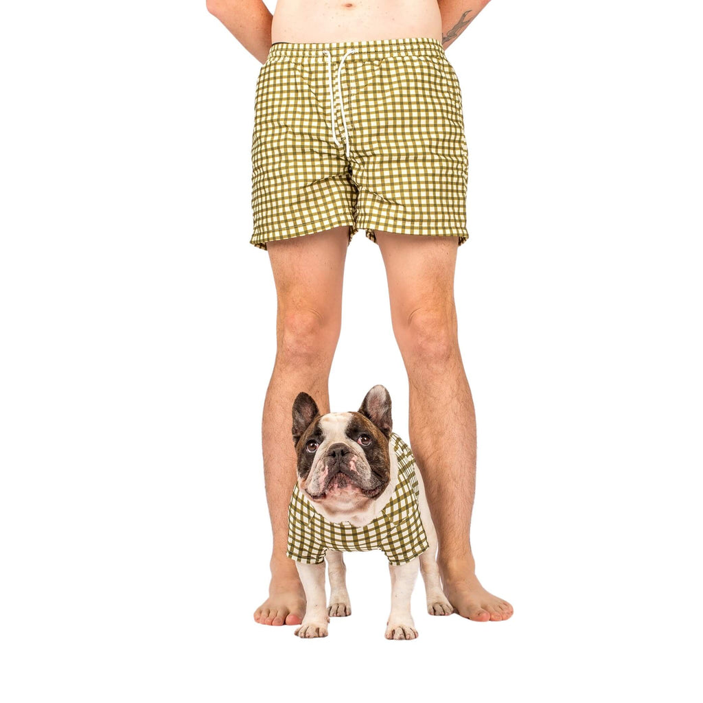 Green Gingham Rash Shirt UPF50