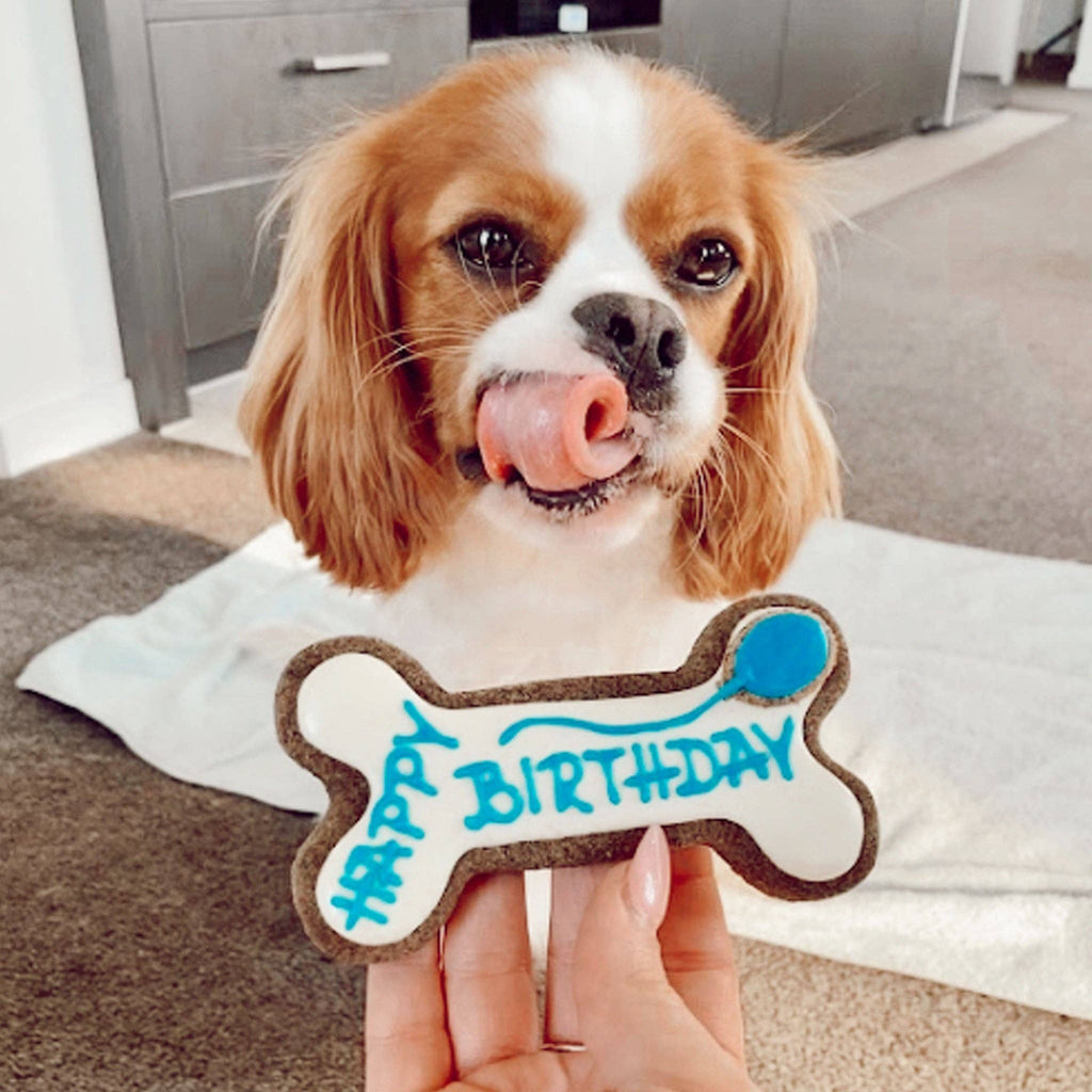Dog Biscuits - Happy Birthday Dog Bone