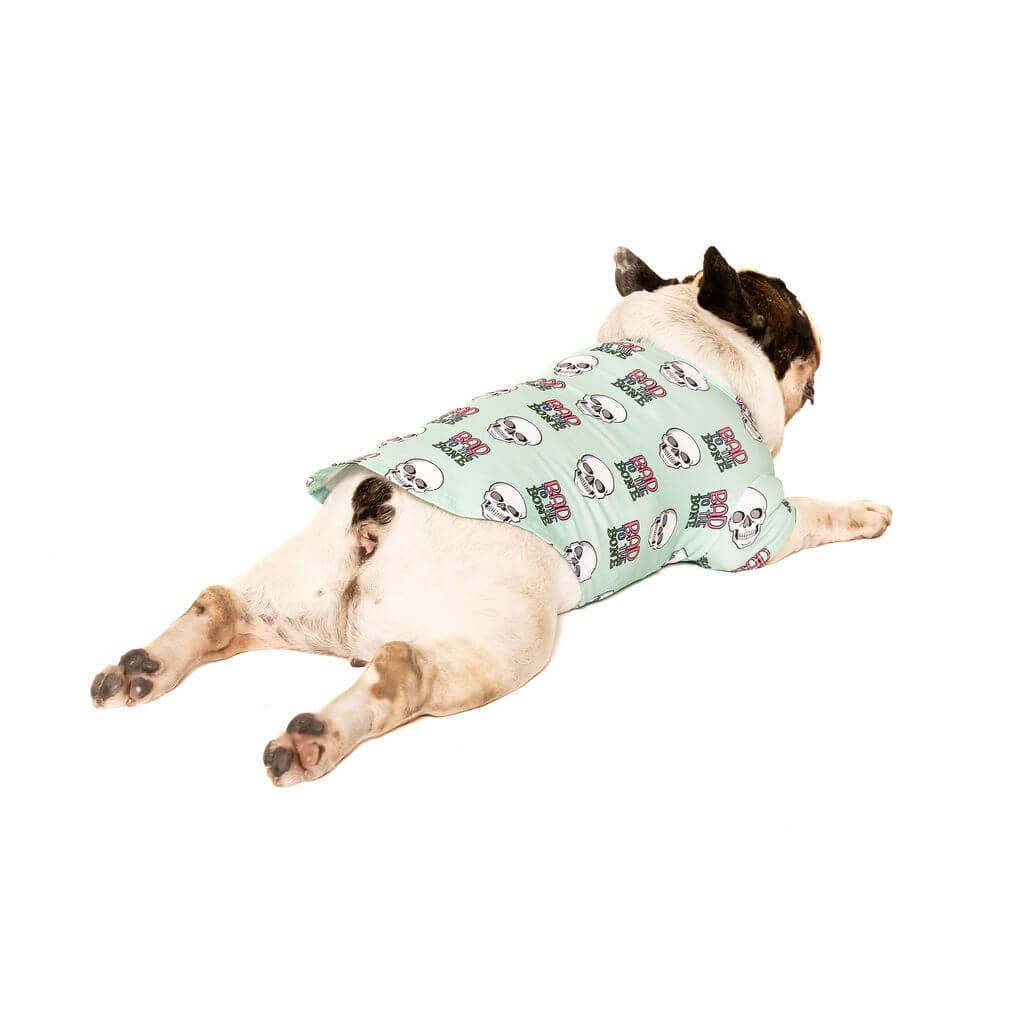 Bad to the Bone Dog Shirt